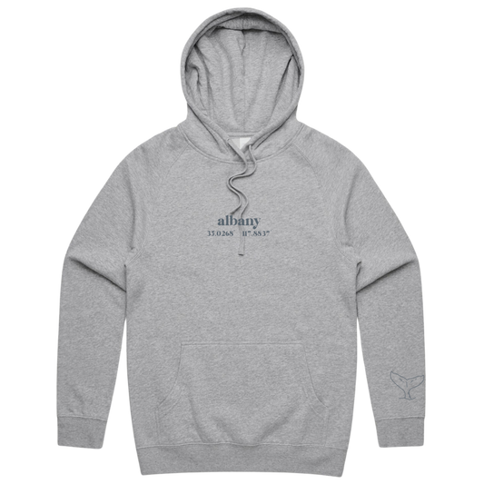 Albany Puff Print Hoodie