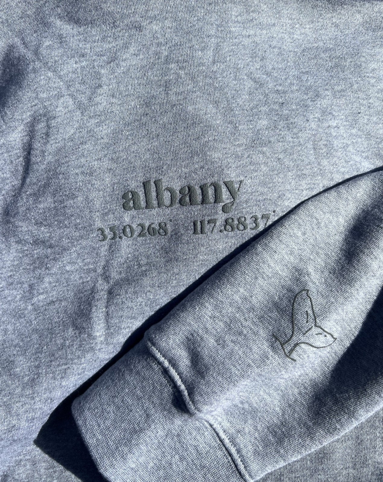 Albany Puff Print Hoodie