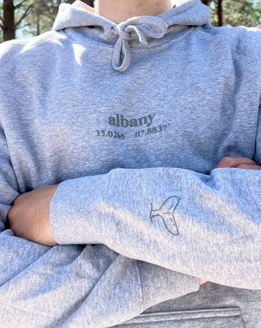 Albany Puff Print Hoodie