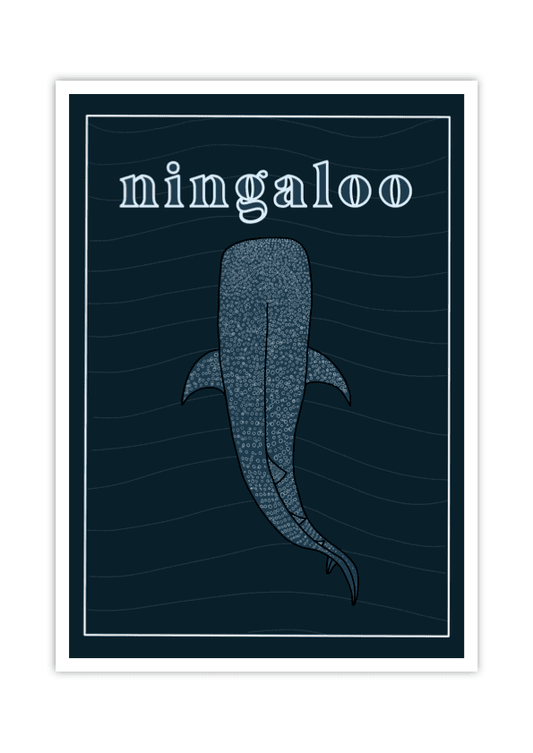 Ningaloo Travel Poster - LITTLE MONDO