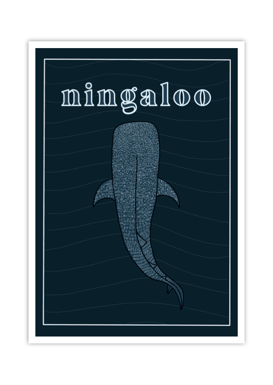 Ningaloo Travel Poster - LITTLE MONDO